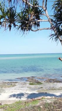 Zanzibar, Tanzania - vertical video of the ocean near the coast, slow motion