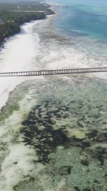 Zanzibar, Tanzanya - kıyıya yakın okyanusun dikey videosu, yavaş çekim