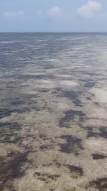 Zanzibar, Tanzanya - kıyıya yakın okyanusun dikey videosu, yavaş çekim