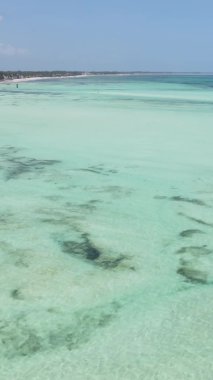 Zanzibar, Tanzanya - kıyıya yakın okyanusun dikey videosu, yavaş çekim