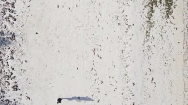 Zanzibar, Tanzanya - Sahilde futbol oynayan dikey videocular, yavaş çekim