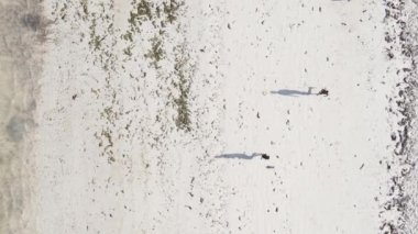 Zanzibar, Tanzanya - Sahilde futbol oynayan dikey videocular, yavaş çekim