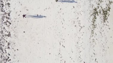 Zanzibar, Tanzanya - Sahilde futbol oynayan dikey videocular, yavaş çekim