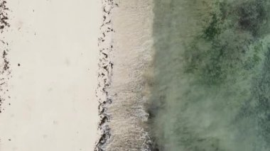 Zanzibar, Tanzanya - dikey boş kumsal, yavaş çekim