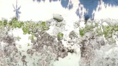 Zanzibar, Tanzanya - dikey boş kumsal, yavaş çekim
