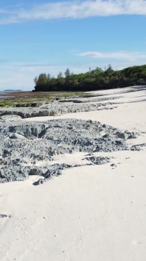 Zanzibar, Tanzanya - dikey boş kumsal, yavaş çekim