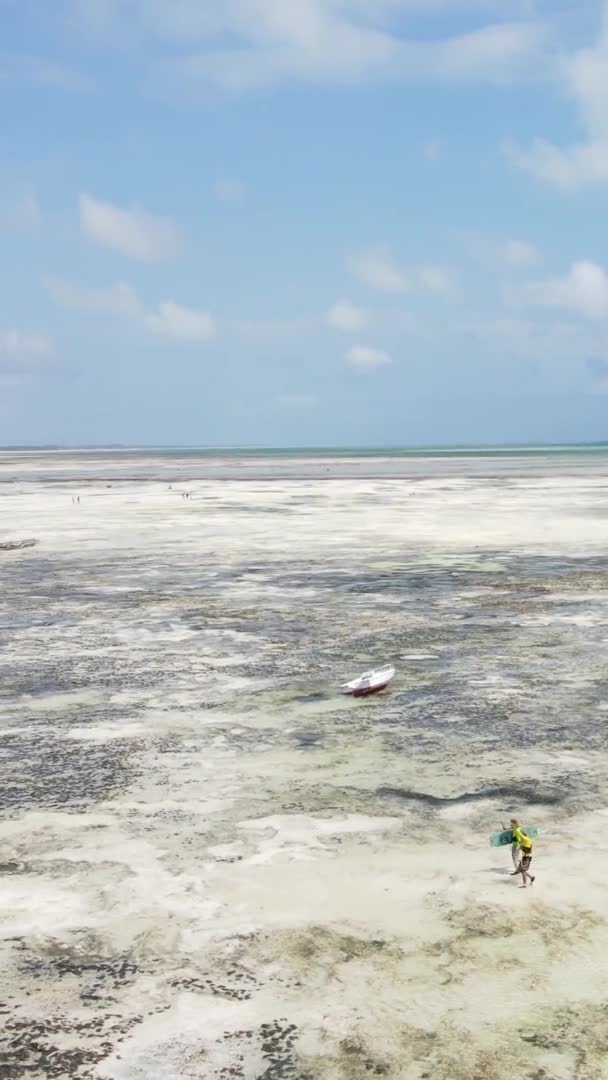 Zanzibár Tanzánia Függőleges Videó Kitesurfing Óceán Partjainál Lassított Felvétel — Stock videók
