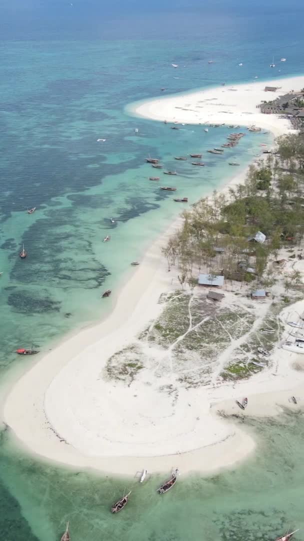 Zanzibar Tanzania Vertical Video Ocean Coast Slow Motion — стокове відео