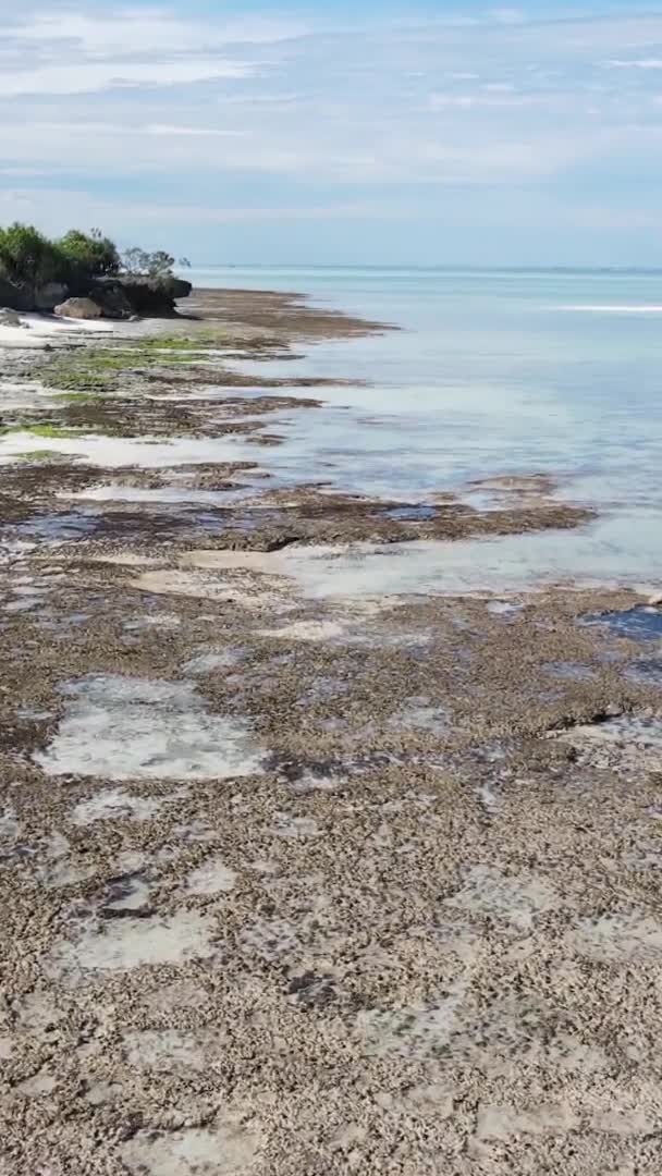 Zanzibár Tanzánia Függőleges Videó Óceánról Part Közelében Lassított Felvétel — Stock videók