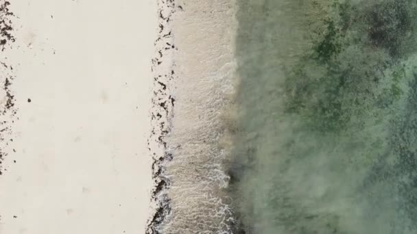 Zanzibar Tanzania Vertical Video Empty Beach Slow Motion — Stock Video