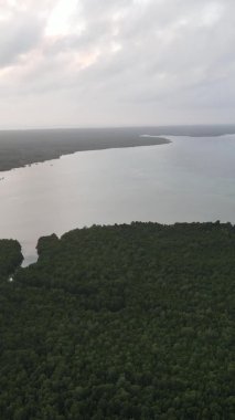 Zanzibar, Tanzanya - dikey boş kumsal, yavaş çekim