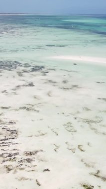 Zanzibar, Tanzanya - kıyıya yakın okyanusta alçak gelgitin dikey videosu, yavaş çekim