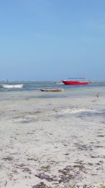 Zanzibar, Tanzanya - kıyıya yakın okyanusta alçak gelgitin dikey videosu, yavaş çekim