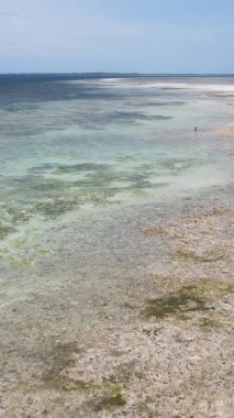 Zanzibar, Tanzanya - kıyıya yakın okyanusta alçak gelgitin dikey videosu, yavaş çekim