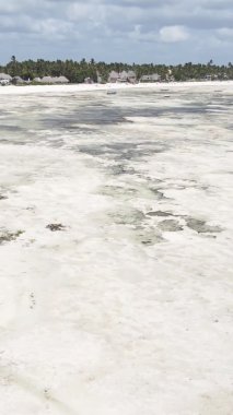Zanzibar, Tanzanya - kıyıya yakın okyanusta alçak gelgitin dikey videosu, yavaş çekim