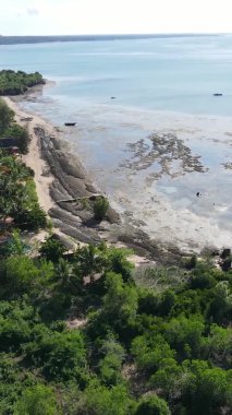 Zanzibar, Tanzanya - kıyıya yakın okyanusta alçak gelgitin dikey videosu, yavaş çekim