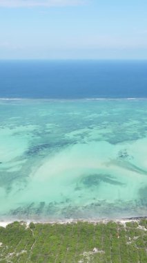 Zanzibar, Tanzanya - kıyıya yakın okyanusta alçak gelgitin dikey videosu, yavaş çekim
