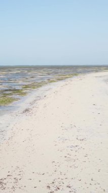 Zanzibar, Tanzanya - kıyıya yakın okyanusta alçak gelgitin dikey videosu, yavaş çekim