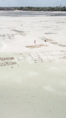 Zanzibar, Tanzanya - kıyıya yakın okyanusta alçak gelgitin dikey videosu, yavaş çekim