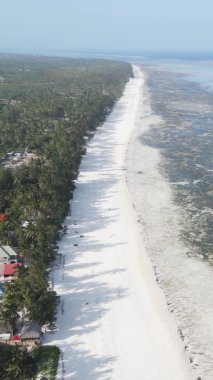 Zanzibar, Tanzanya - kıyıya yakın okyanusta alçak gelgitin dikey videosu, yavaş çekim