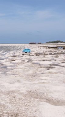 Zanzibar, Tanzanya - kıyıya yakın okyanusta alçak gelgitin dikey videosu, yavaş çekim