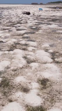 Zanzibar, Tanzanya - kıyıya yakın okyanusta alçak gelgitin dikey videosu, yavaş çekim