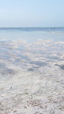 Zanzibar, Tanzanya - kıyıya yakın okyanusta alçak gelgitin dikey videosu, yavaş çekim