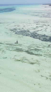 Zanzibar, Tanzanya - kıyıya yakın okyanusta alçak gelgitin dikey videosu, yavaş çekim