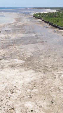 Zanzibar, Tanzanya - kıyıya yakın okyanusta alçak gelgitin dikey videosu, yavaş çekim