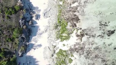 Zanzibar, Tanzanya - kıyıya yakın okyanusta alçak gelgitin dikey videosu, yavaş çekim