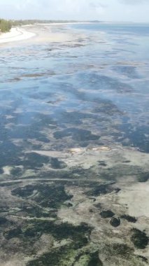 Zanzibar, Tanzanya - kıyıya yakın okyanusta alçak gelgitin dikey videosu, yavaş çekim
