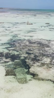 Zanzibar, Tanzanya - kıyıya yakın okyanusta alçak gelgitin dikey videosu, yavaş çekim