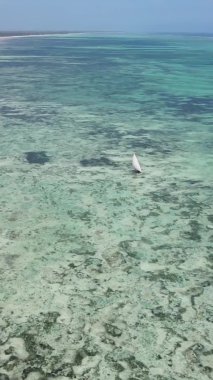 Zanzibar, Tanzanya - kıyıya yakın okyanusta alçak gelgitin dikey videosu, yavaş çekim