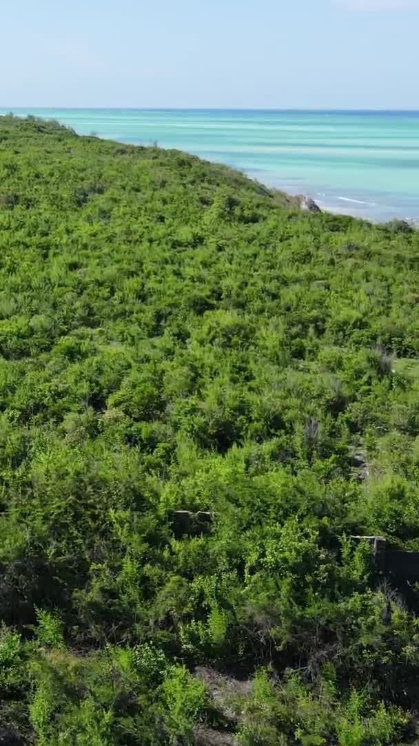 Zanzíbar Tanzania Video Vertical Playa Vacía Cámara Lenta — Vídeos de Stock