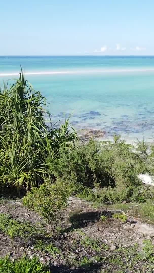 Zanzíbar Tanzania Video Vertical Playa Vacía Cámara Lenta — Vídeos de Stock