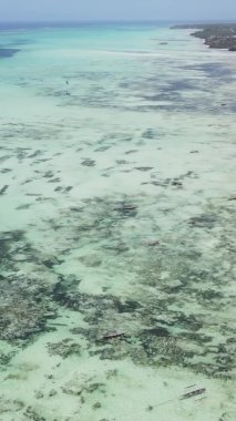 Zanzibar, Tanzanya - kıyıya yakın okyanusta alçak gelgitin dikey videosu, yavaş çekim