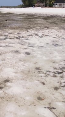 Zanzibar, Tanzanya - kıyıya yakın okyanusta alçak gelgitin dikey videosu, yavaş çekim