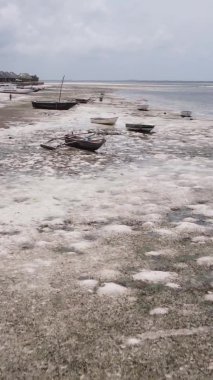 Zanzibar, Tanzanya - kıyıya yakın okyanusta alçak gelgitin dikey videosu, yavaş çekim