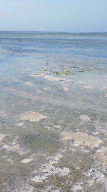 Zanzibar, Tanzanya - kıyıya yakın okyanusta alçak gelgitin dikey videosu, yavaş çekim