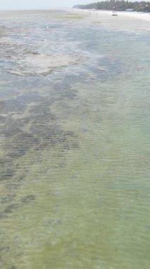 Zanzibar, Tanzanya - kıyıya yakın okyanusta alçak gelgitin dikey videosu, yavaş çekim
