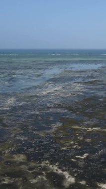 Zanzibar, Tanzanya - kıyıya yakın okyanusta alçak gelgitin dikey videosu, yavaş çekim
