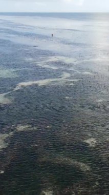 Zanzibar, Tanzanya - kıyıya yakın okyanusta alçak gelgitin dikey videosu, yavaş çekim