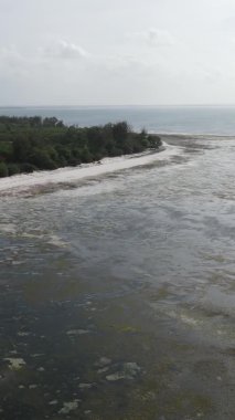 Zanzibar, Tanzanya - kıyıya yakın okyanusta alçak gelgitin dikey videosu, yavaş çekim