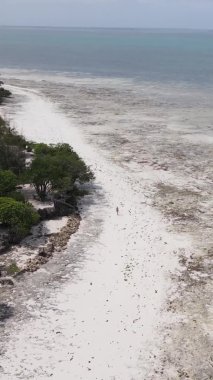 Zanzibar, Tanzanya - kıyıya yakın okyanusta alçak gelgitin dikey videosu, yavaş çekim