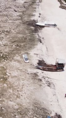 Zanzibar, Tanzanya - kıyıya yakın okyanusta alçak gelgitin dikey videosu, yavaş çekim