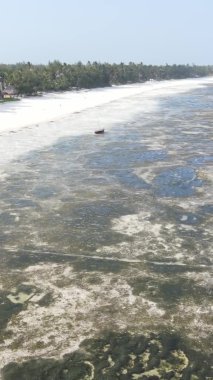 Zanzibar, Tanzanya - kıyıya yakın okyanusta alçak gelgitin dikey videosu, yavaş çekim