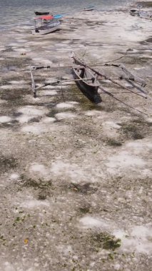 Zanzibar, Tanzanya - kıyıya yakın okyanusta alçak gelgitin dikey videosu, yavaş çekim