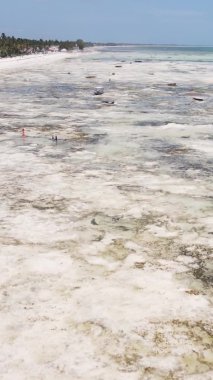 Zanzibar, Tanzanya - kıyıya yakın okyanusta alçak gelgitin dikey videosu, yavaş çekim