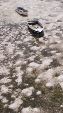 Zanzibar, Tanzanya - kıyıya yakın okyanusta alçak gelgitin dikey videosu, yavaş çekim