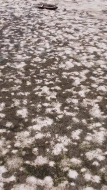 Zanzibar, Tanzanya - kıyıya yakın okyanusta alçak gelgitin dikey videosu, yavaş çekim